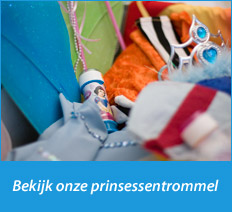 Bekijk onze prinsessentrommel